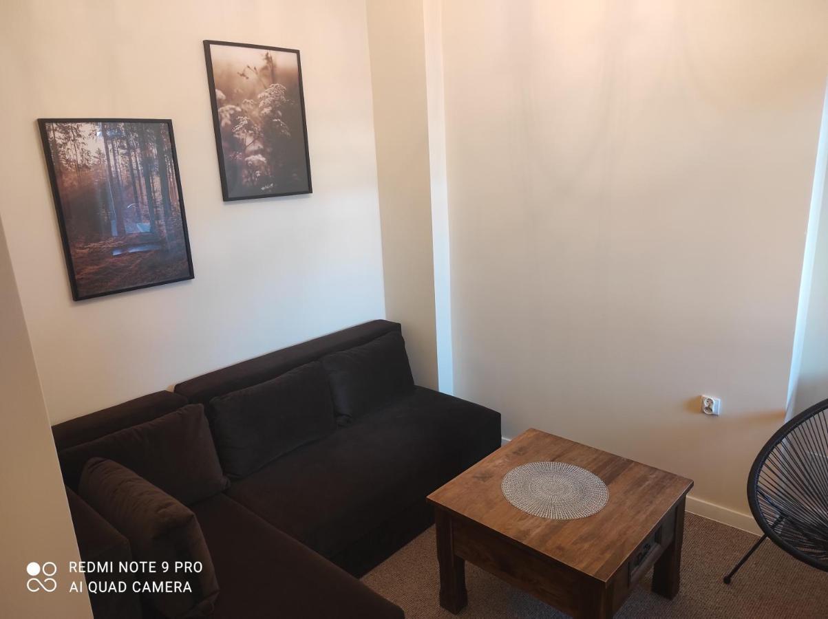 Bocianowka Z Sauna I Fotelem Masujacym W Cenie Ustroń Exteriör bild